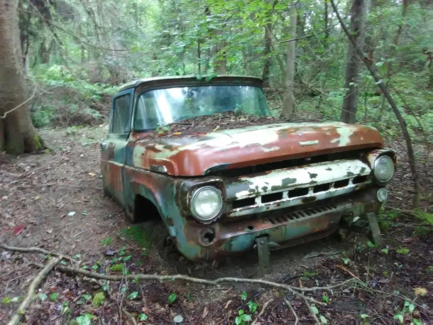  abandoned truck in Oscoda Michigan over  years in the woods