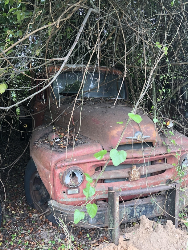  Abandoned truck in some brush in Texas