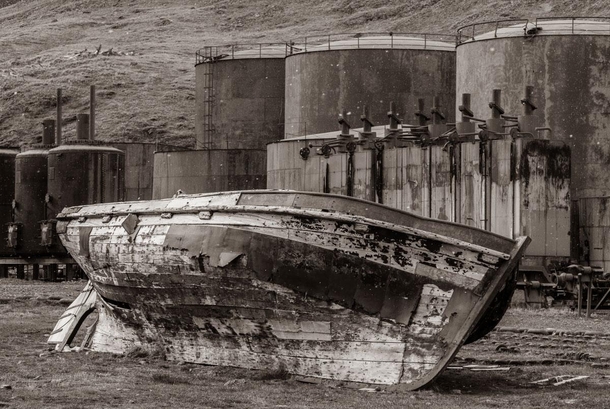  Abandoned whaling oar boat and blubber tanks Grytvikin South Georgia Island