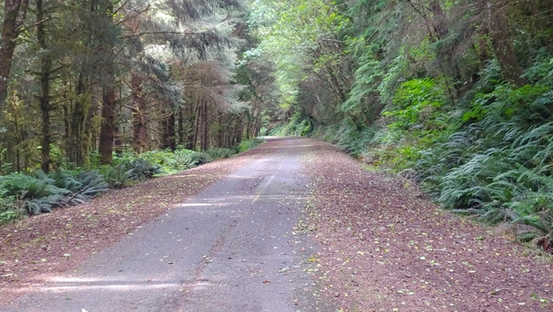  AbandonedClosed road near Oceanside OR x