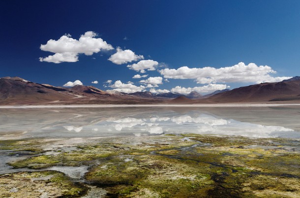  Altiplano lagoon reflections by Mike Green