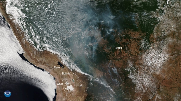  Amazon rainforest burns so much that the smoke reach Argentina and So Paulo