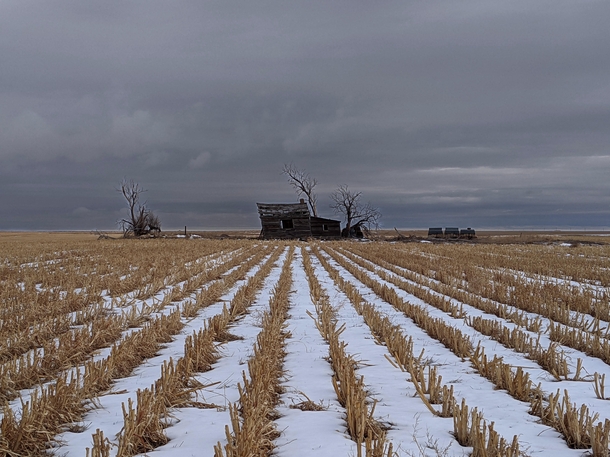  An abandoned farmhouse fades in to the farmland Eastern plains of Colorado USA