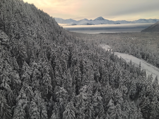  Anchorage Alaska