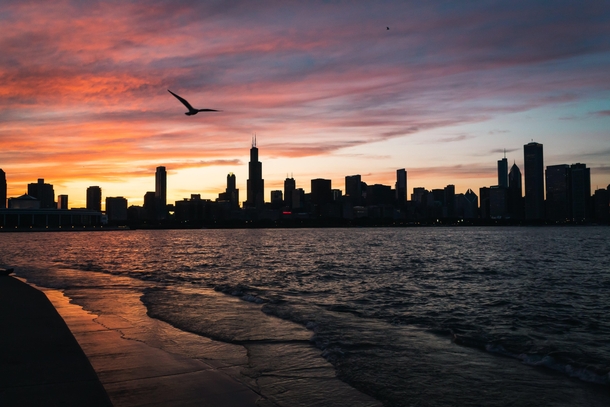  Chicago sunsets never get old