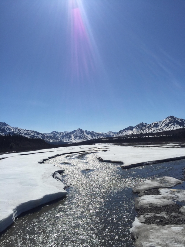  Denali National Park today