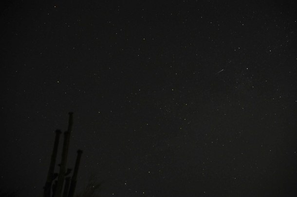  First night trying my hand at astrophotography and caught a shooting star
