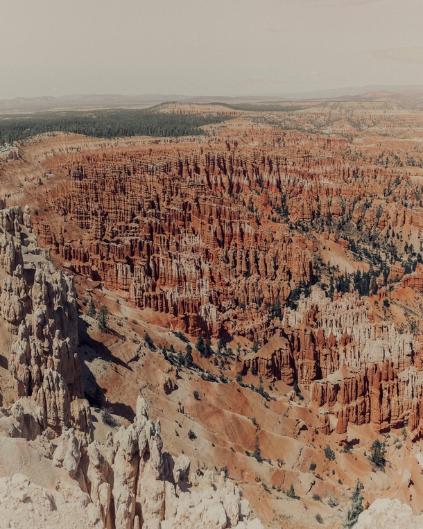  got to hike the unbelievably beautiful Bryce Canyon National Park