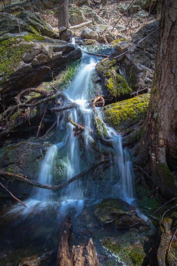  I took a  second long exposure at Harriman State Park NY on the Elk Pen Loop Trail to be exact