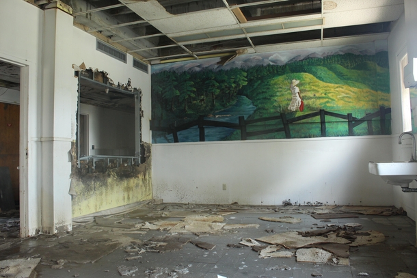  Interesting mural found in a wet and humid Florida insane asylum