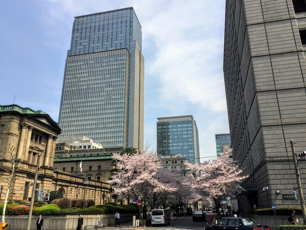  Japan - Tokyo - Nihonbashi district with its modern buildings and traditional cherry trees On the left in the foreground the Bank of Japan