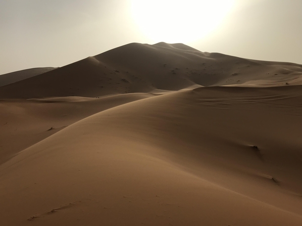  Just before sunset in the Saharan dunes Southeastern Morocco