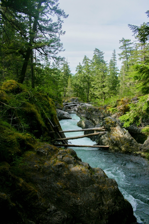 Little Qualicum Falls Vancouver Island BC Photorator