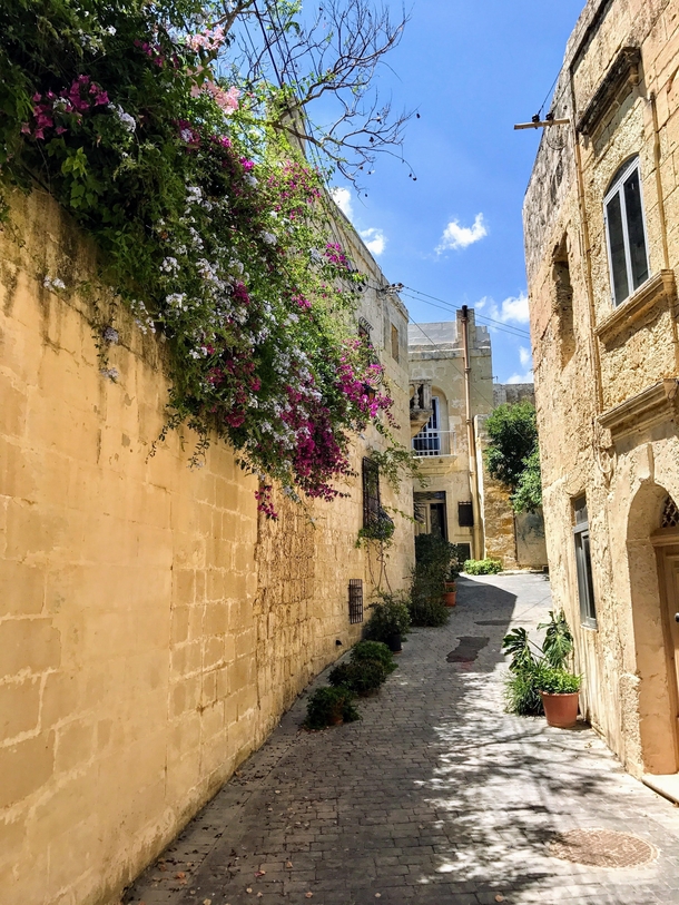  Malta - In the alleys of the village of Ir-Rabat