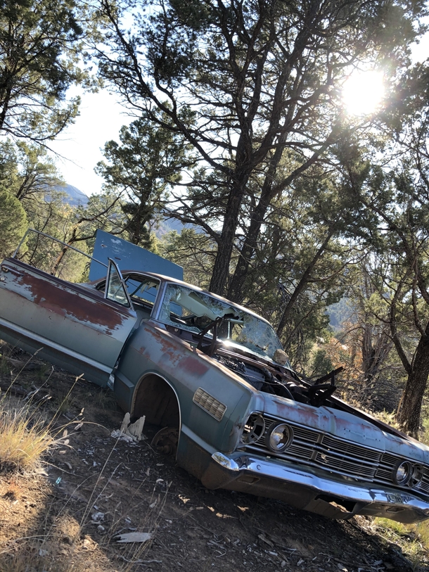  Mercury Monterey Coupe resting in peace on a mountaintop