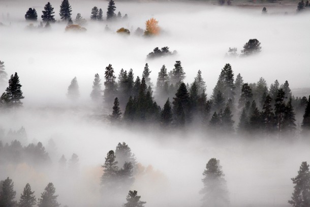 Methow Fog  Methow Valley Washington