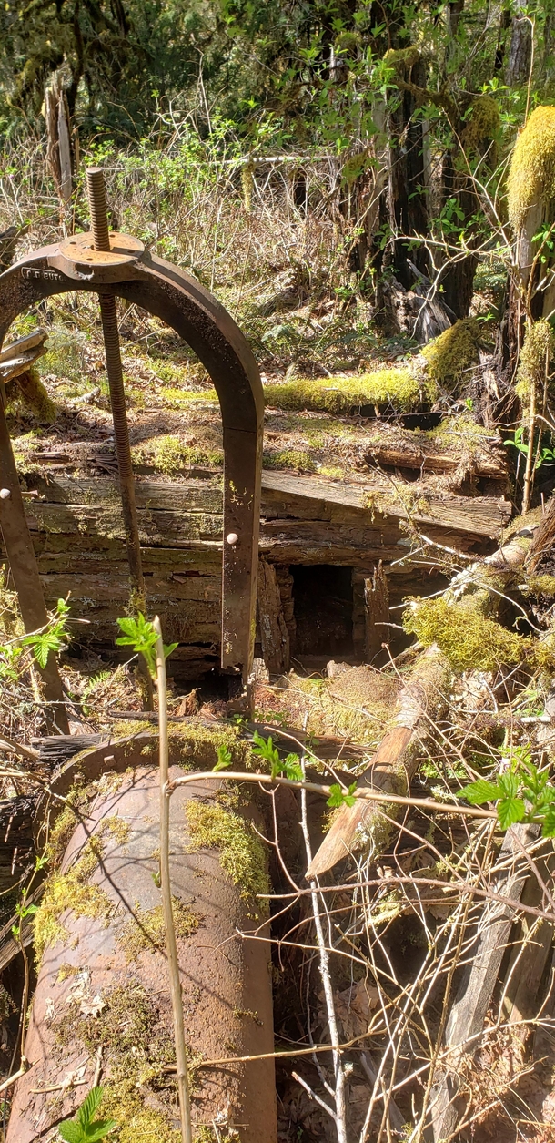  Mount Hood National Forest - An old shack part of a possible mining operation