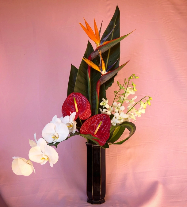  My fianc is on a roll Orchids birds of paradise amp anthuriums