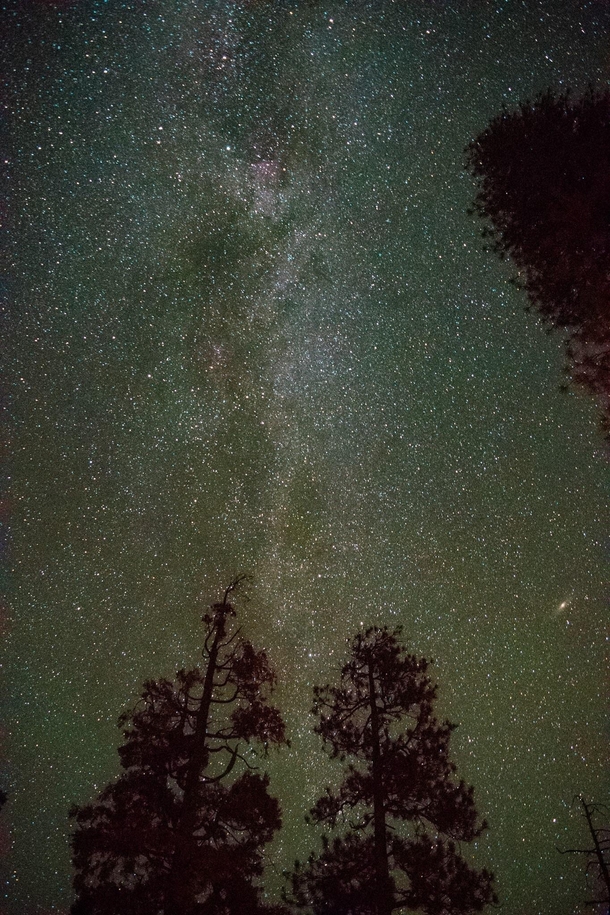  My photograph of the Milky Way guest starring Andromeda from Kings Canyon California