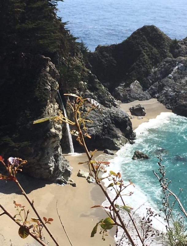 OC California sea otter state game refuge stunning view on beach with