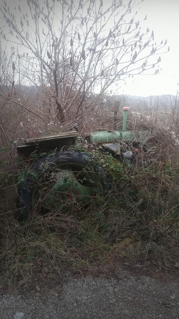  Overgrown Tractor found in a small Village Near Vienna