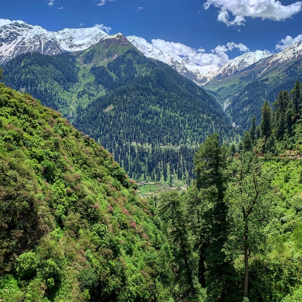  Parvati Valley Himachal Pradesh x