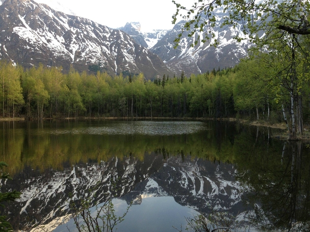 Picture taken during a hike I went on in Crow Pass Alaska