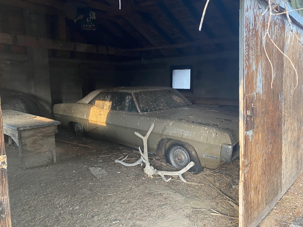  Pontiac Grand Prix Been abandoned in this shed since  Grass fire burned right up to the edge of the building somehow not catching it or the dead tree right next to the door Happy to say Im going to be restoring it