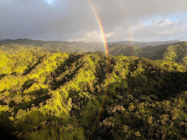  Ppkea-Paumal Forest Reserve Oahu HI x