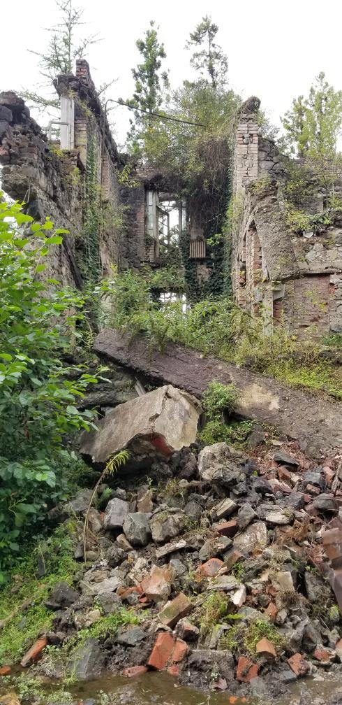  Ruined building being reclaimed by nature in Akarmara Abkhazia