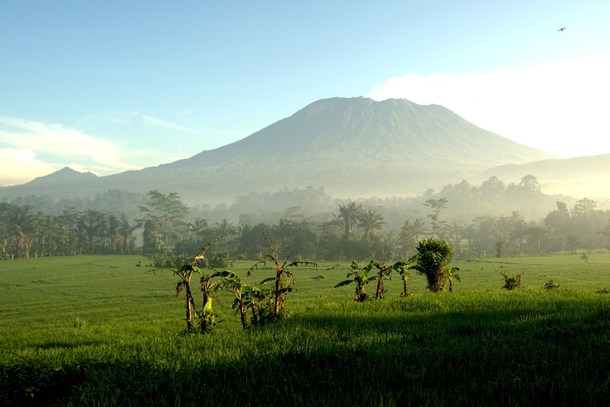  shades of green in east Bali - Good morning to Mount Agung  OC