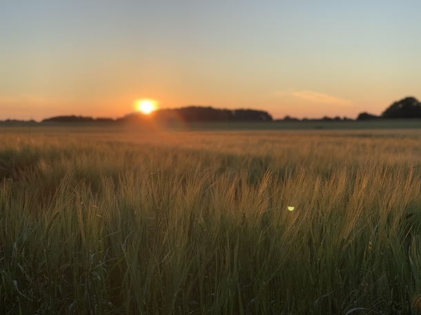  Sunset over a field on the countryside of Midtjylland Denmark