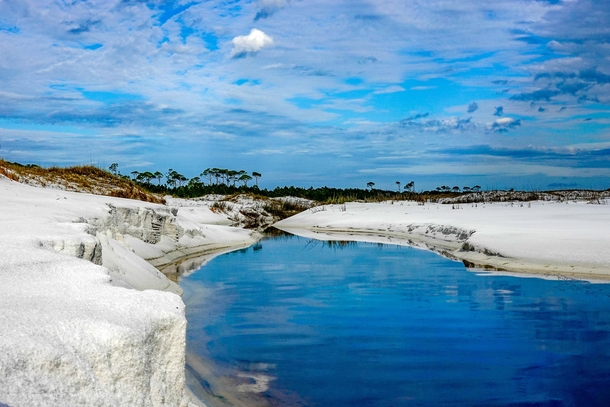  Sweet Meets Savory Morris Lake Cut flowing into the Gulf of Mexico Topsail Hill Preserve FL