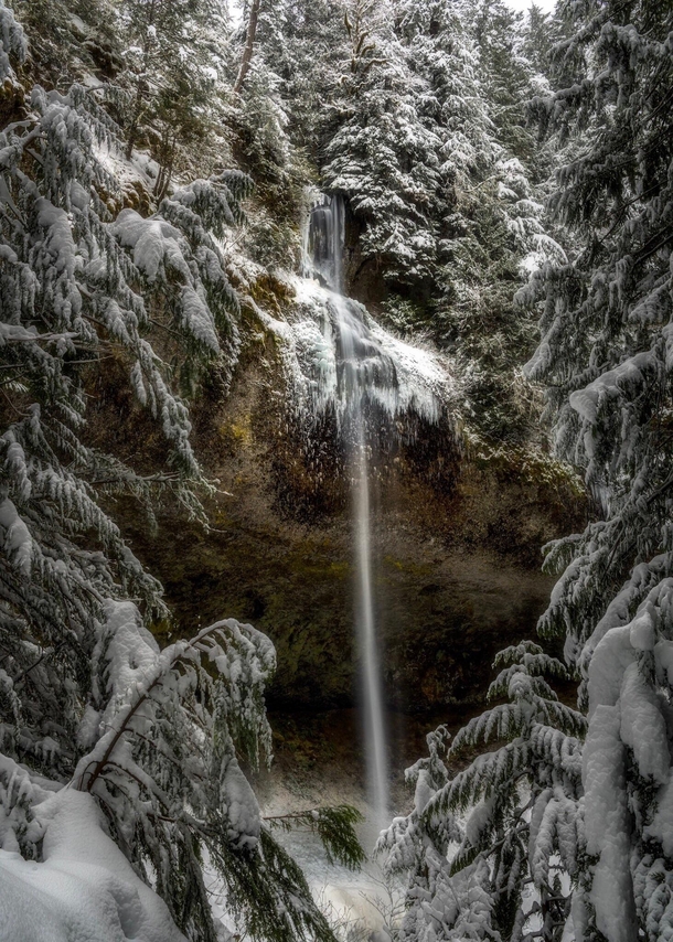 th ave freeze out I know its summer and all but Im kinda missing me some winter fun in the woods hunting waterfalls I hope yall enjoy this  ish ft hidden gem from a forest in Oregon OC  IG john_perhach_photos