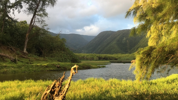  The Hawaiian Valley of Kamuela at Sunrise