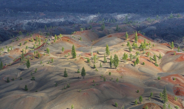  The Painted Dunes Lassen National Volcanic Park  x 