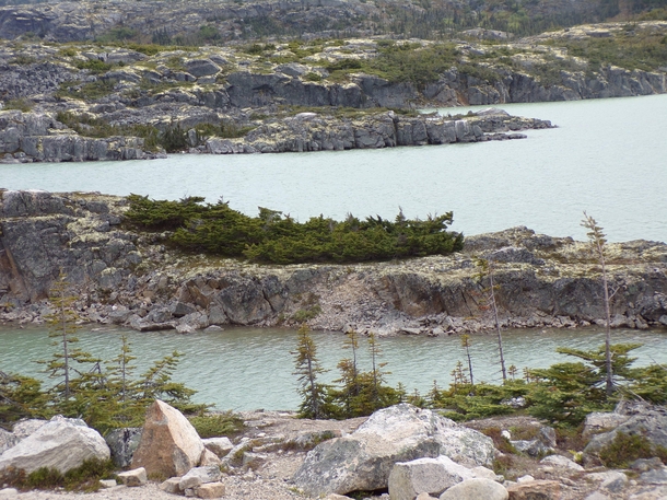 This is a photo I took near Skagway Alaska the water appears green because of silt from glaciers and this one of my best photos from the trip