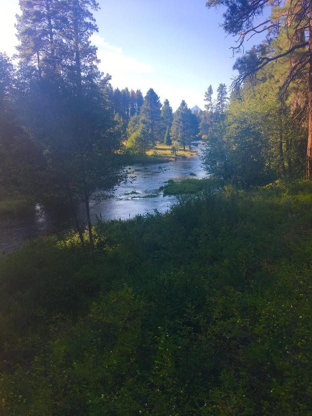  This is about  feet away from the head of the Metolius River in Oregon