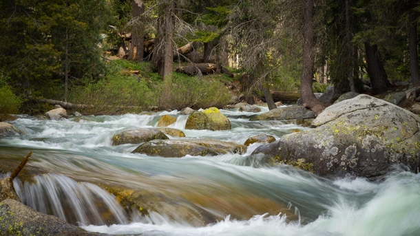  Walk along the rivers edge in Sequoia National Park