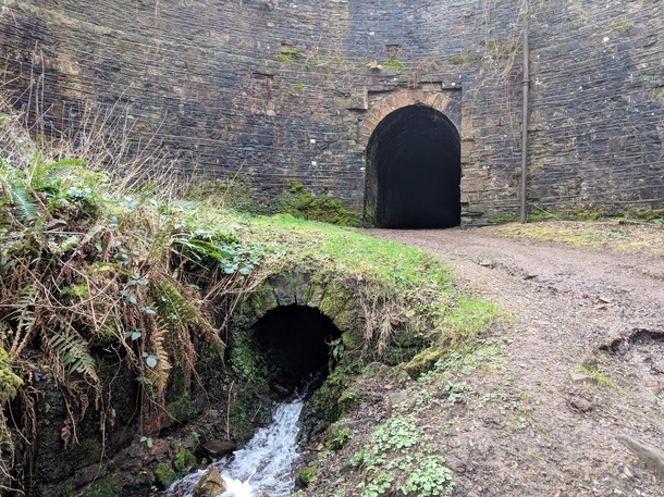  year old Tunnel Would you go in  x  OC