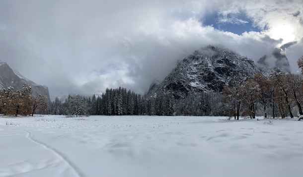  Yosemite in Winter Was too cloudy to see El Capitan or Half Dome but this made the trip worth it