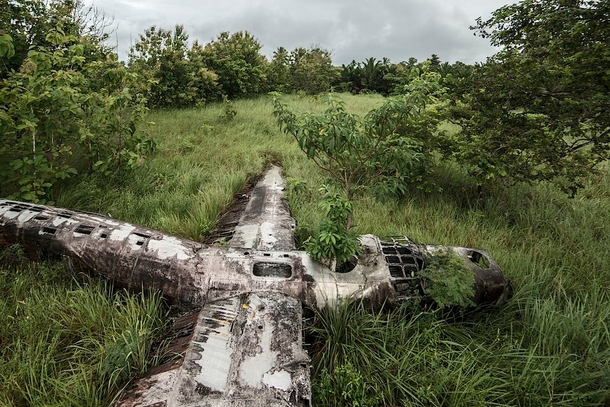 A B- Liberator that crashed on October   in Papua New Guinea reclaimed by nature The bomber plane ran low on fuel and the crew evacuated before the pilot and co-pilot landed safely in a swamp Dietmar Eckell 