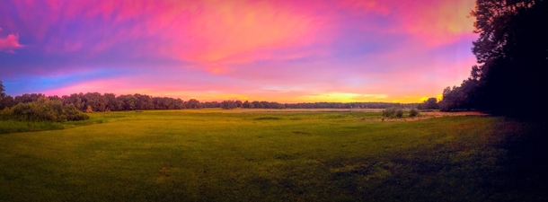 A backyard field at sunset in Polk City FL 