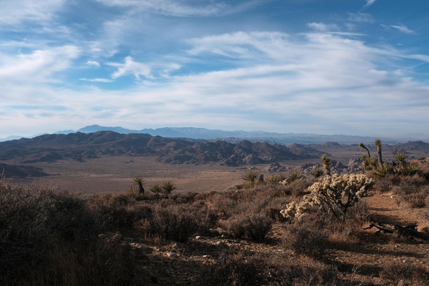 A barren desert view Joshua Tree California 