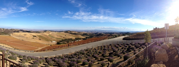 A beautiful autumn day in Paso Robles California View from DAOU Vineyards 