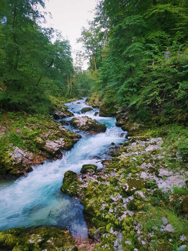 A beautiful morning in Vintgar Gorge Slovenia 
