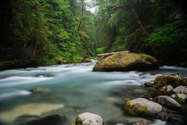 A beautiful river scene in the Olympic Mountains 