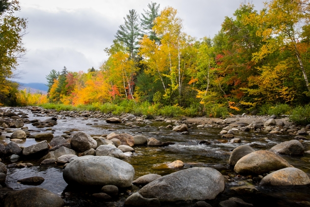 A beautiful stream in Maine 