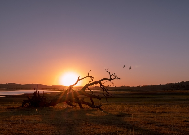 A beautiful sunset of the Murray River 