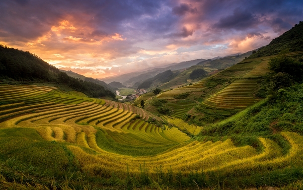 A beautiful terraced valley in Mu Cang Chai Yen Bai Vietnam 